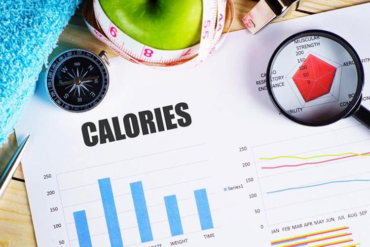 meal and workout programme